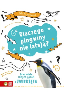 Mam pytanie. Dlaczego pingwiny nie latają?