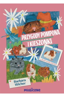 Przygody Pompona i Kieszonki