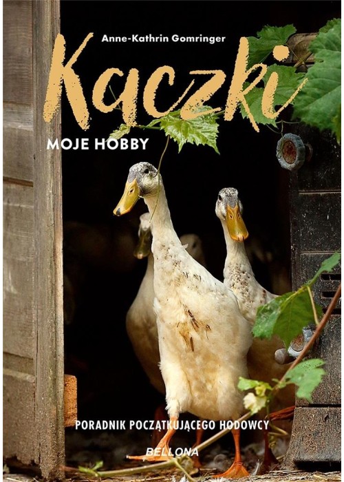 Kaczki - moje hobby. Poradnik początkującego...