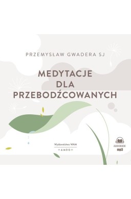 Medytacje dla przebodźcowanych