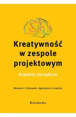 Kreatywność w zespole projektowym