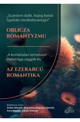 Oblicz romantyzmu