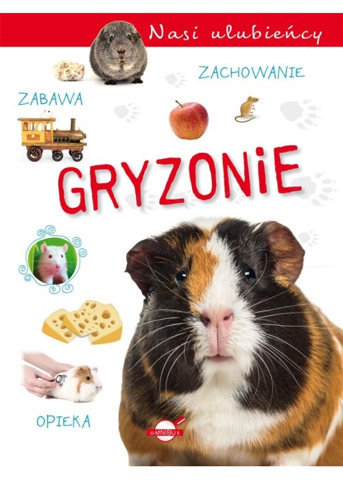 Nasi ulubieńcy. Gryzonie