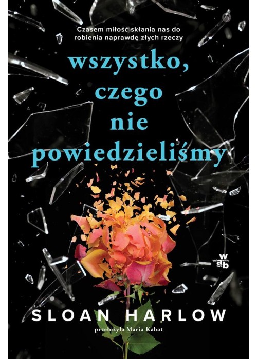 Wszystko, czego nie powiedzieliśmy