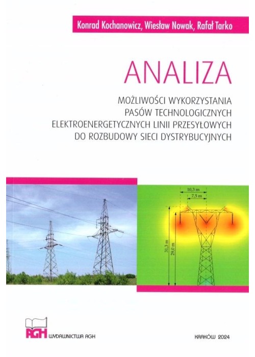 Analiza możliwości wykorzystania pasów technolog.