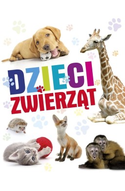 Dzieci zwierząt