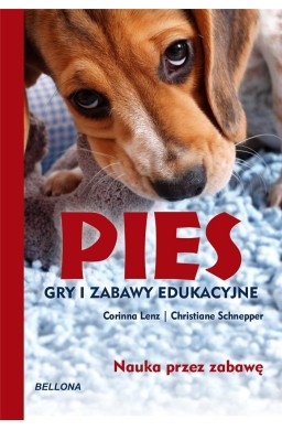 Pies. Gry i zabawy edukacyjne