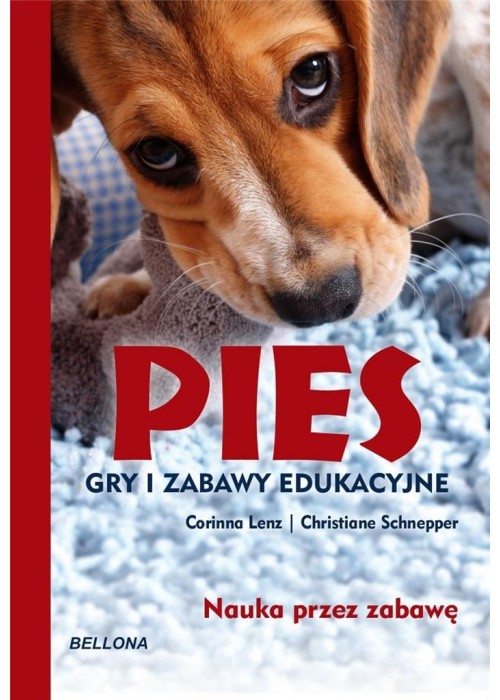 Pies. Gry i zabawy edukacyjne