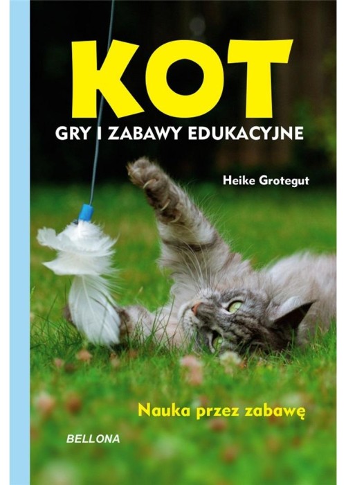 Kot. Gry i zabawy edukacyjne