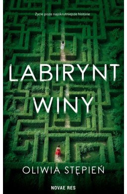 Labirynt winy