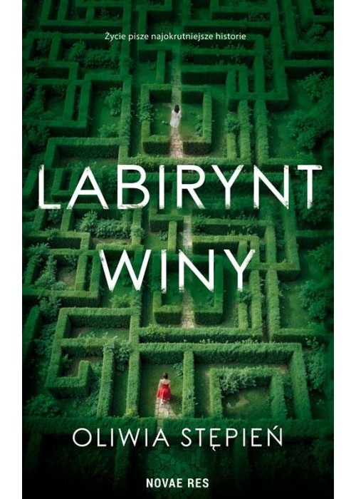 Labirynt winy