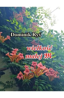 Wielkość małej m