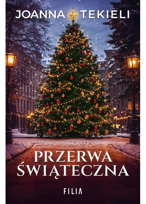 Przerwa świąteczna