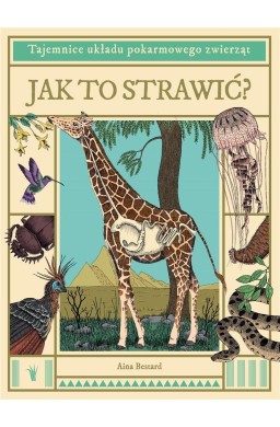 Jak to strawić? Tajemnice układu pokarmowego...