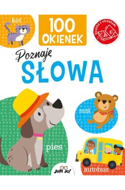 100 okienek. Poznaję słowa