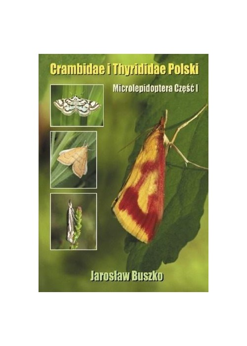 Crambidae i Thyrididae Polski