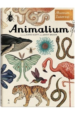 Animalium wyd.3