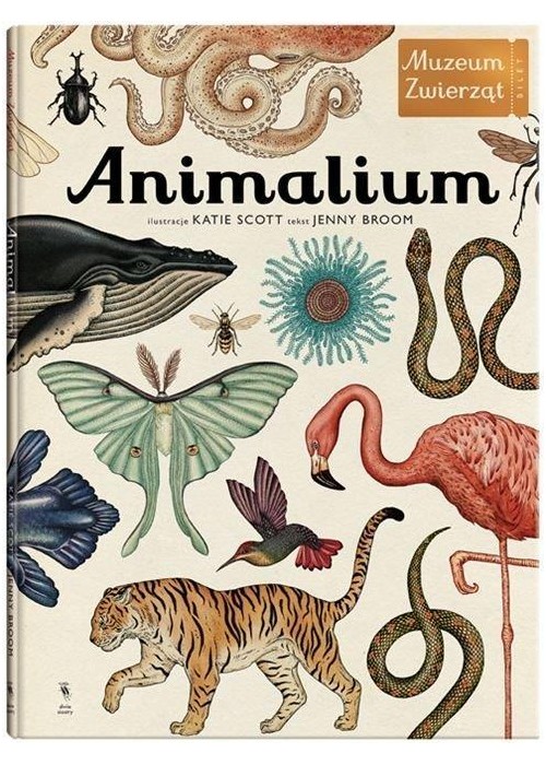 Animalium wyd.3