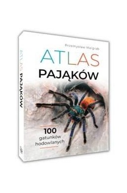 Atlas pająków