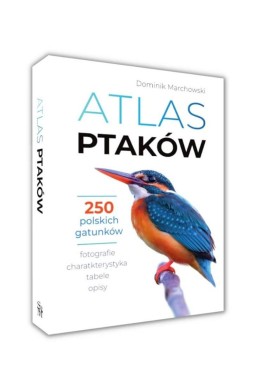 Atlas ptaków