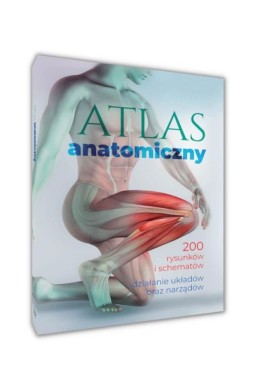 Atlas anatomiczny