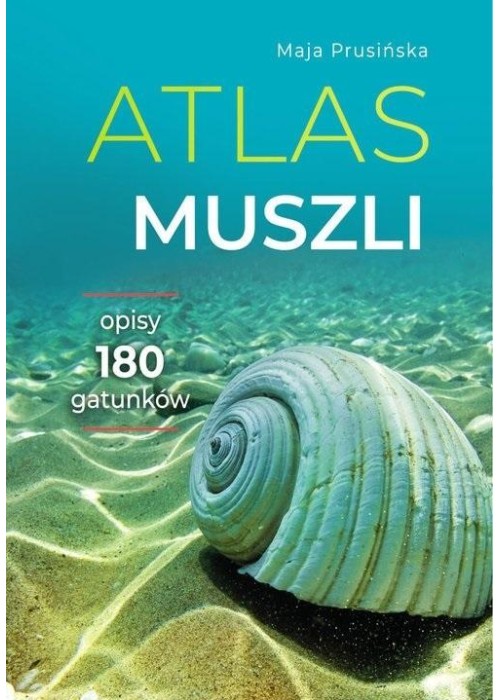 Atlas muszli. Opisy 180 gatunków