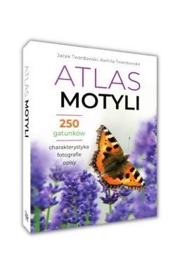 Atlas motyli