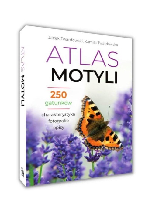 Atlas motyli