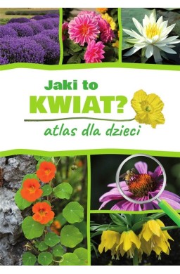 Jaki to kwiat? Atlas dla dzieci