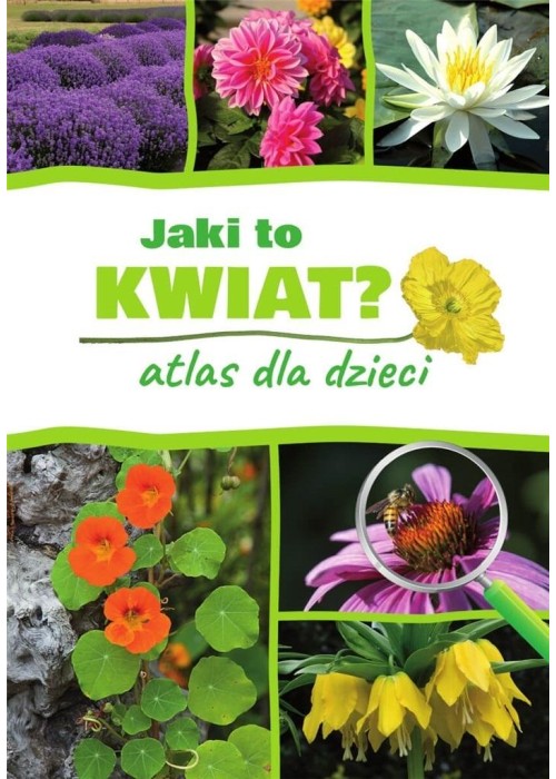 Jaki to kwiat? Atlas dla dzieci