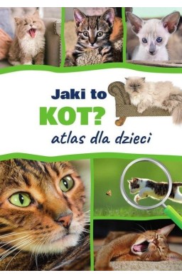 Jaki to kot? Atlas dla dzieci