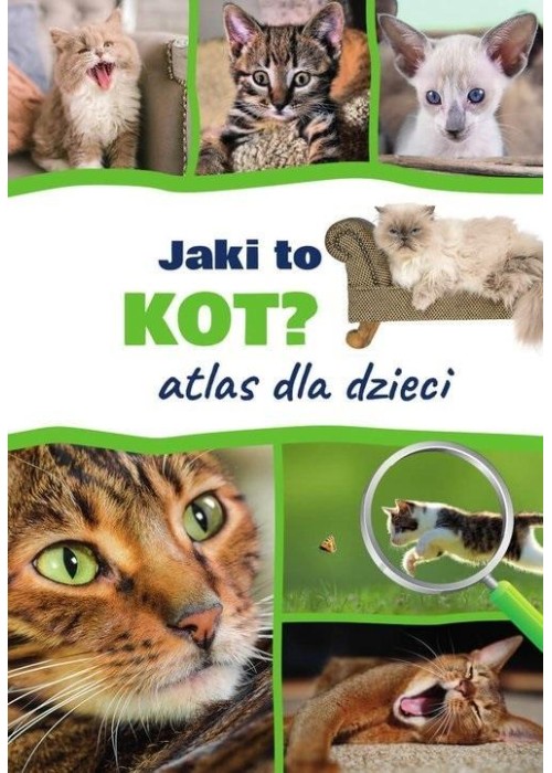 Jaki to kot? Atlas dla dzieci