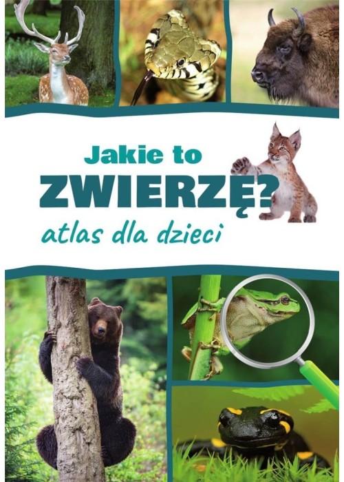 Atlas dla dzieci. Jakie to zwierzę?