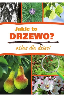 Atlas dla dzieci. Jakie to drzewo?