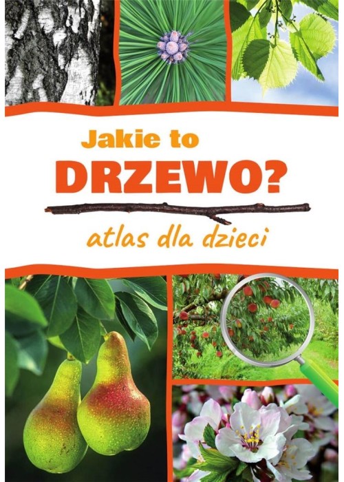 Atlas dla dzieci. Jakie to drzewo?