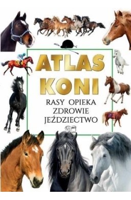 Atlas koni