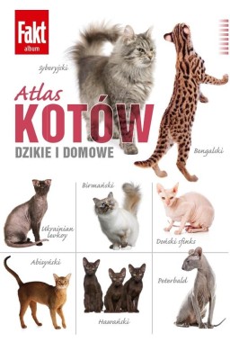 Atlas kotów