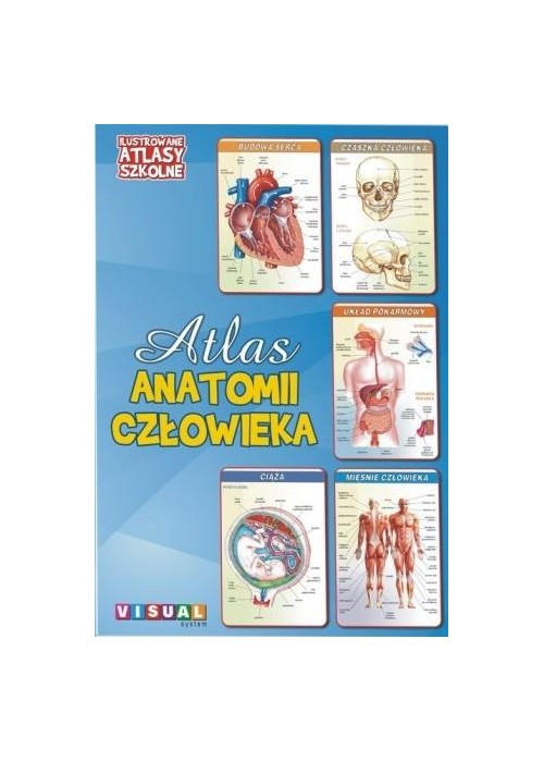 Ilustrowany atlas szkolny.Atlas anatomii człowieka