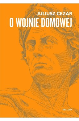 O wojnie domowej