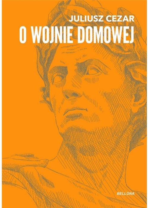 O wojnie domowej