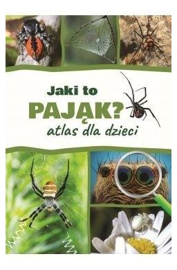 Atlas dla dzieci. Jaki to pająk?