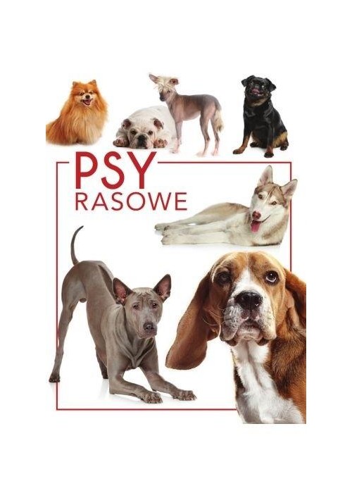 Psy rasowe