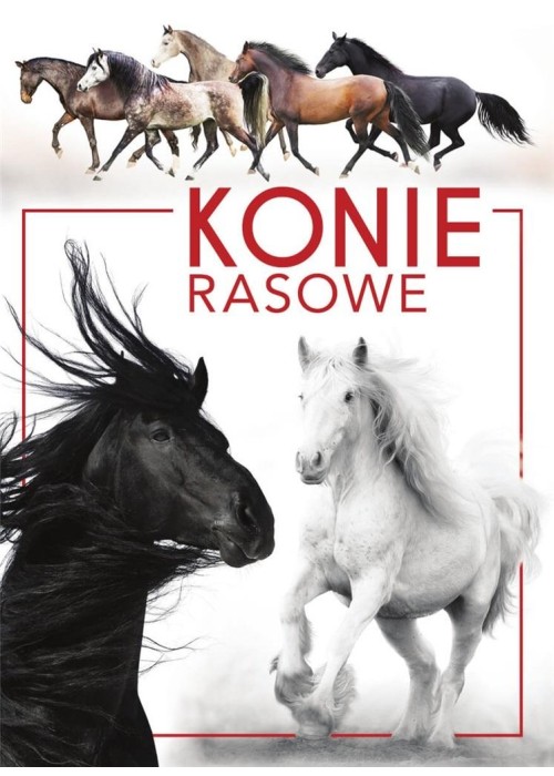 Konie rasowe