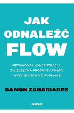 Jak odnaleźć flow. Niezmącona koncentracja..