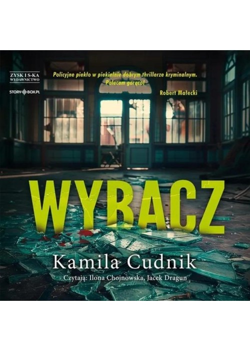 Wybacz audiobook