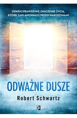 Odważne dusze. Odkryj prawdziwe znaczenie życia..