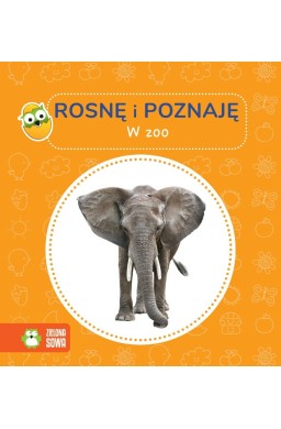 Rosnę i poznaję. W zoo