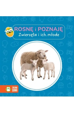 Rosnę i poznaję. Zwierzęta i ich młode