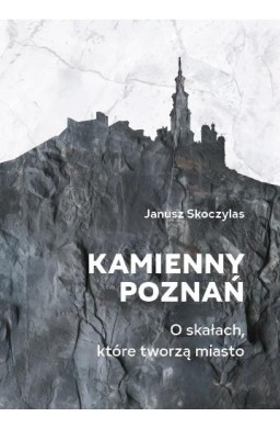 Kamienny Poznań. O skałach, które tworzą miasto