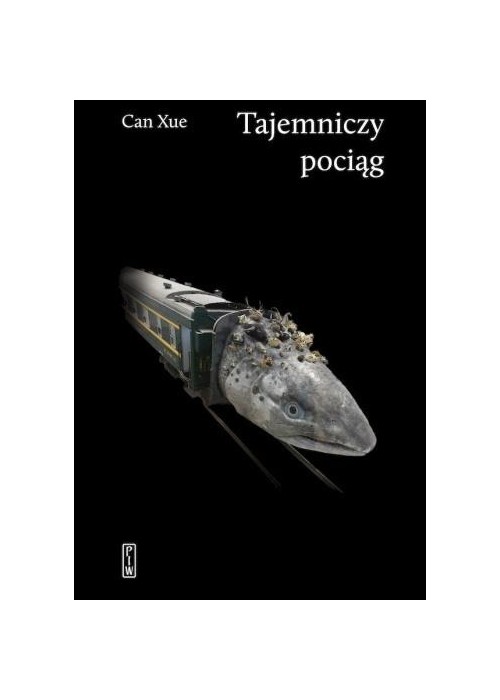 Tajemniczy pociąg